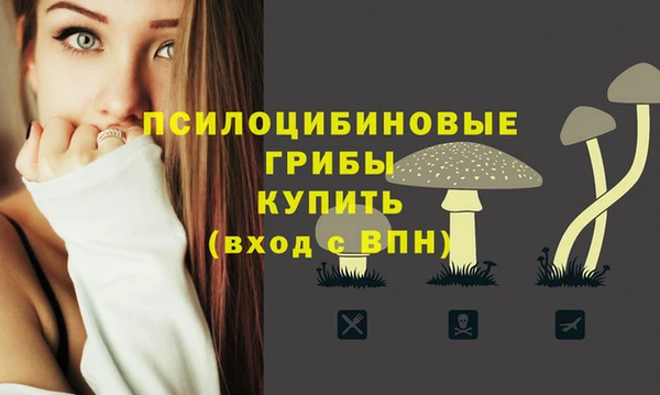 шишки Наволоки