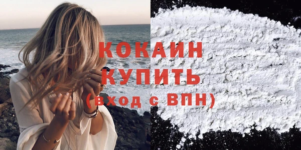 шишки Наволоки