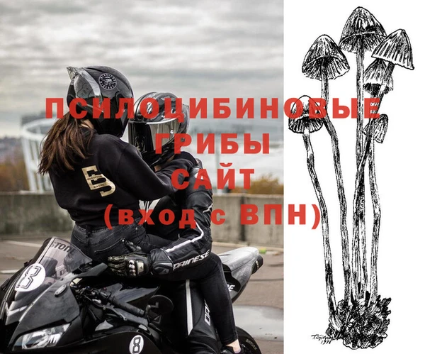 шишки Наволоки