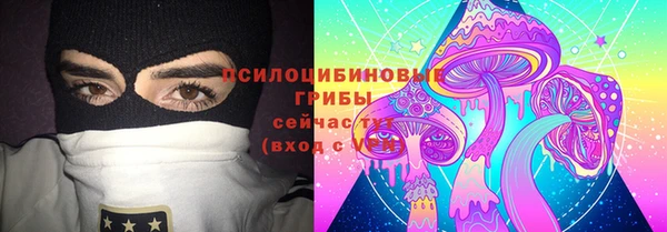 гашик Богородицк
