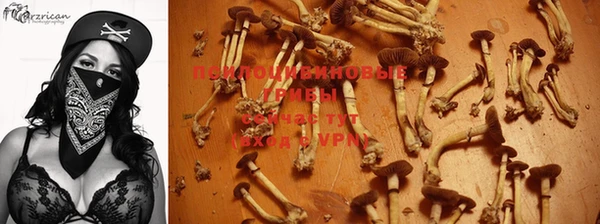 эйфоретик Богородск