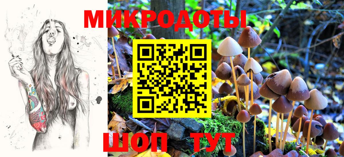Новокузнецк  Псилоцибиновые грибы мухоморы  Вход с VPN 