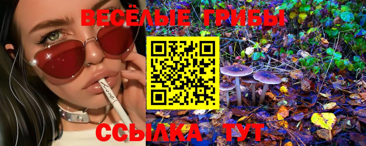 МЕТАДОН  A PVP СОЛЬ кристаллы  МЕФ   ГАШИШ  Меф кристаллы  Конопля  Новокузнецк  КОКАИН 