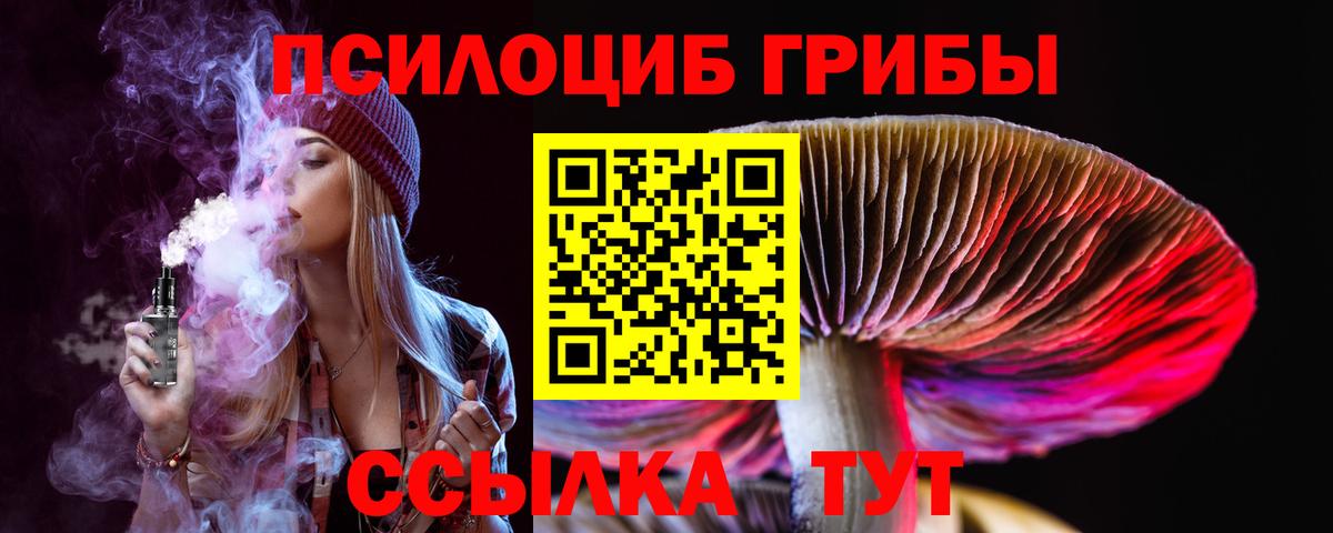 Псилоцибиновые грибы GOLDEN TEACHER Новокузнецк