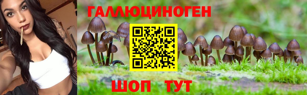 Канабис  Экстази  СОЛЬ CK  МЕФ  Новокузнецк  КОКАИН  Гарик  Вход с VPN 